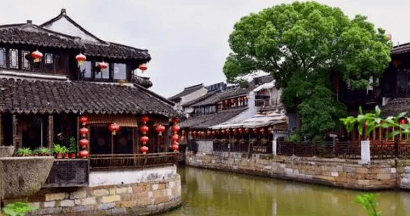 寻找沙漠珍宝